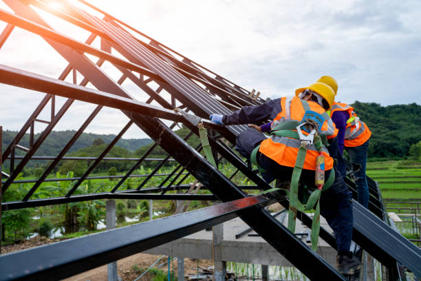 Best Roof Gutter Cleaning  in Locust, NC